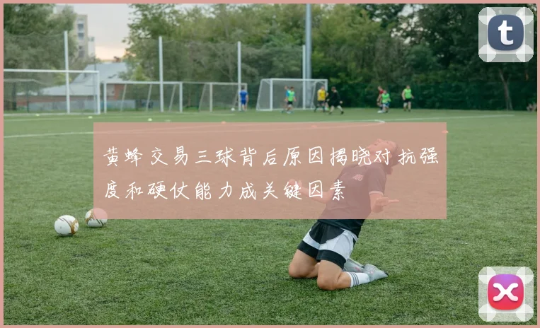 黄蜂交易三球背后原因揭晓对抗强度和硬仗能力成关键因素