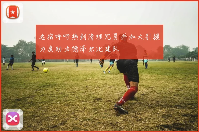 名宿呼吁热刺清理冗员并加大引援力度助力德泽尔比建队